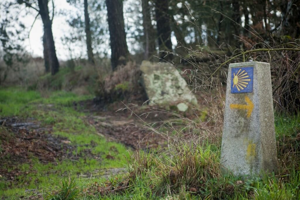 cuantas etapas son el camino de santiago desde Sarria