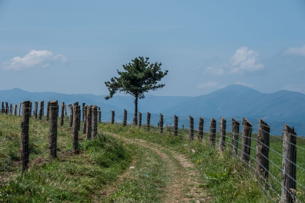 guia del camino portugués desde Vigo